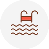 �˶�����